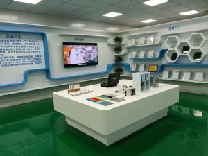Product Display Area